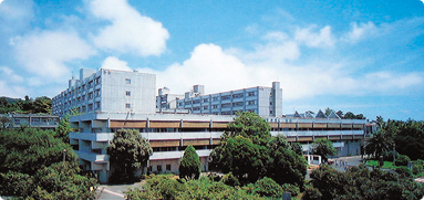 静岡 大学 農学部